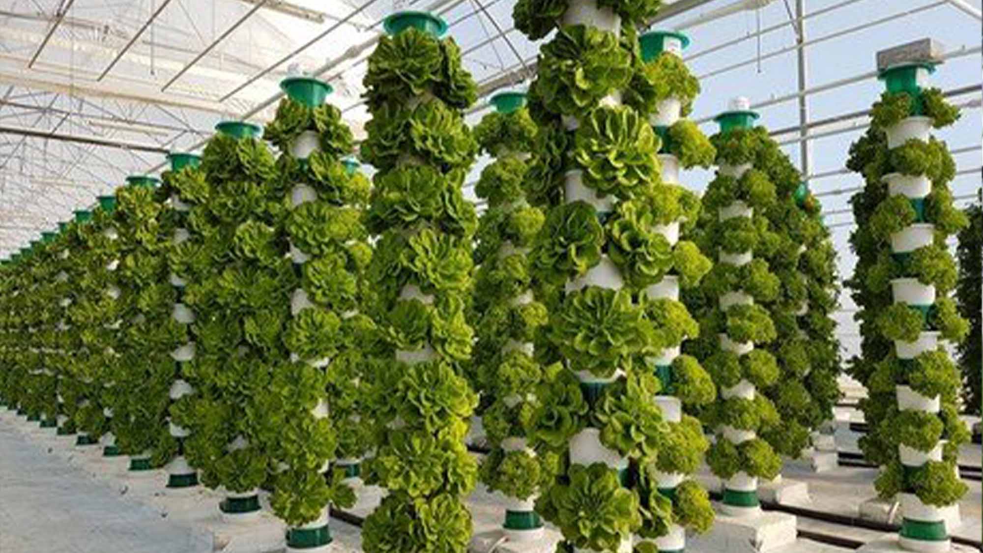 How to use hydroponics to grow food underground after a doomsday nuclear attack