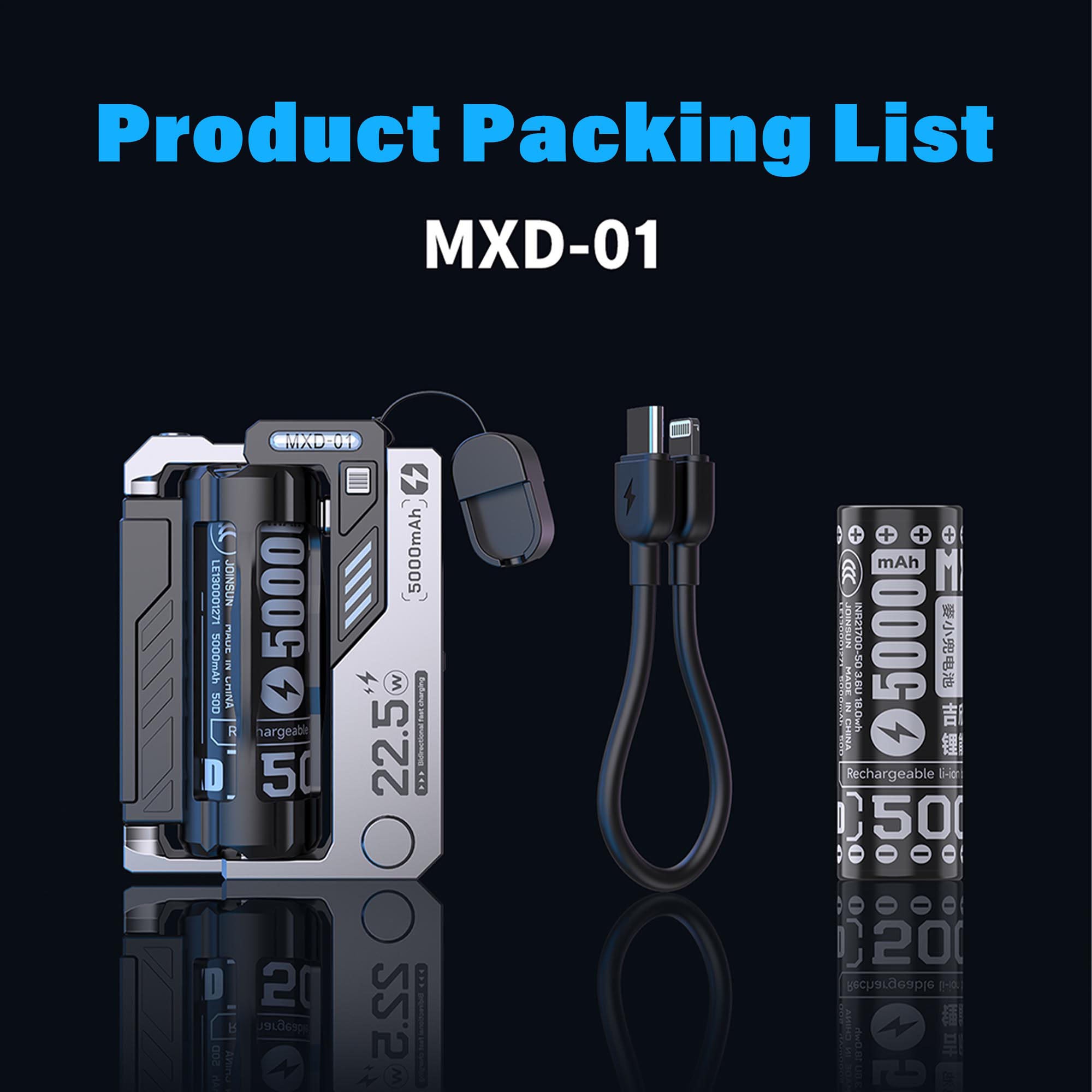 Battery Replaceable Power Bank