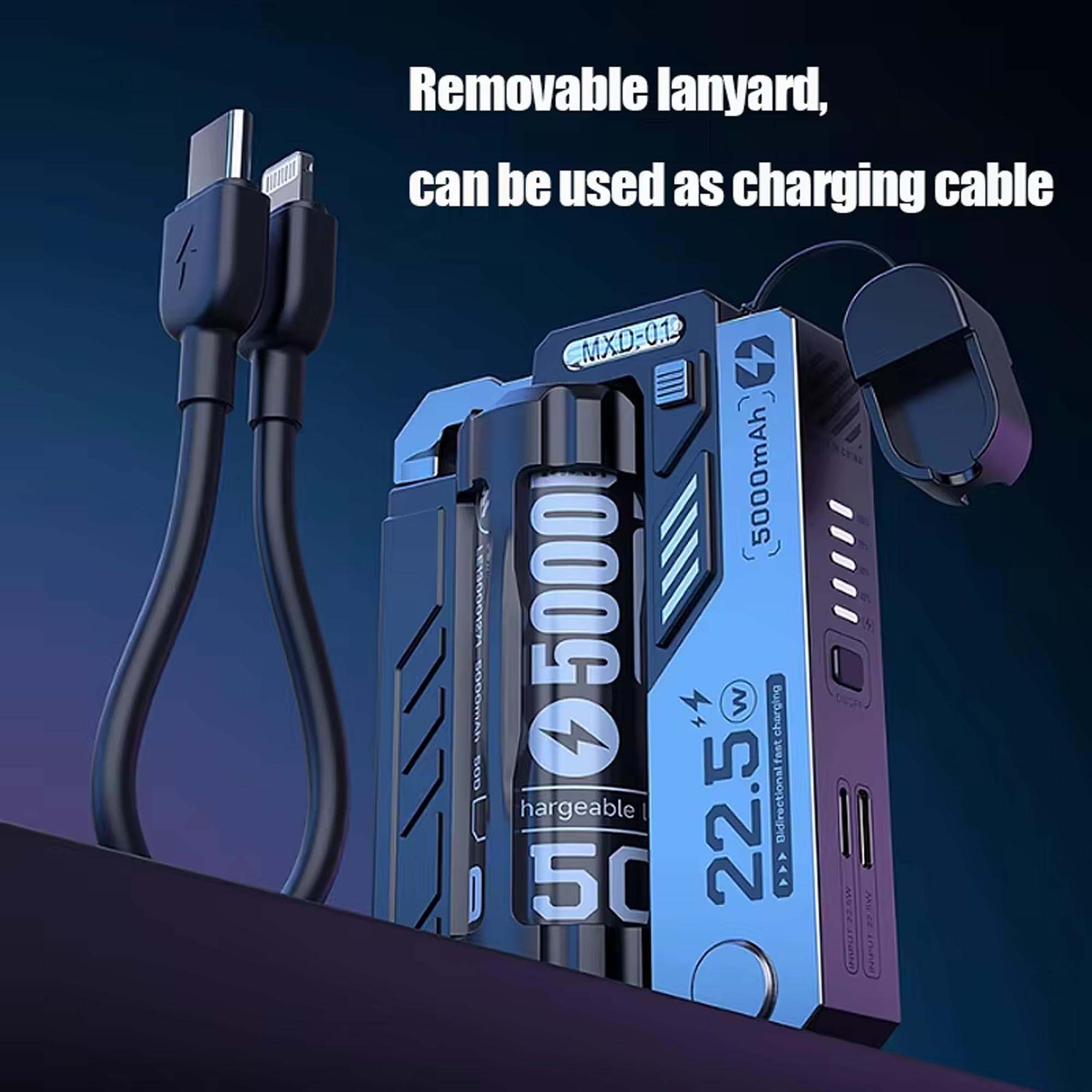 Battery Replaceable Power Bank
