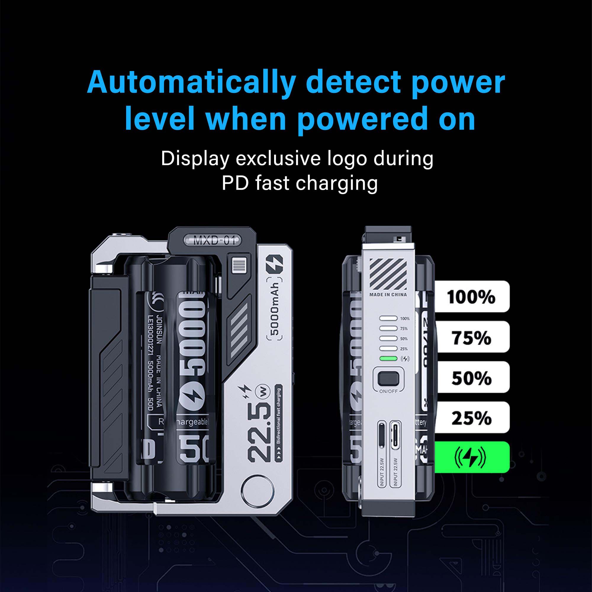 Battery Replaceable Power Bank