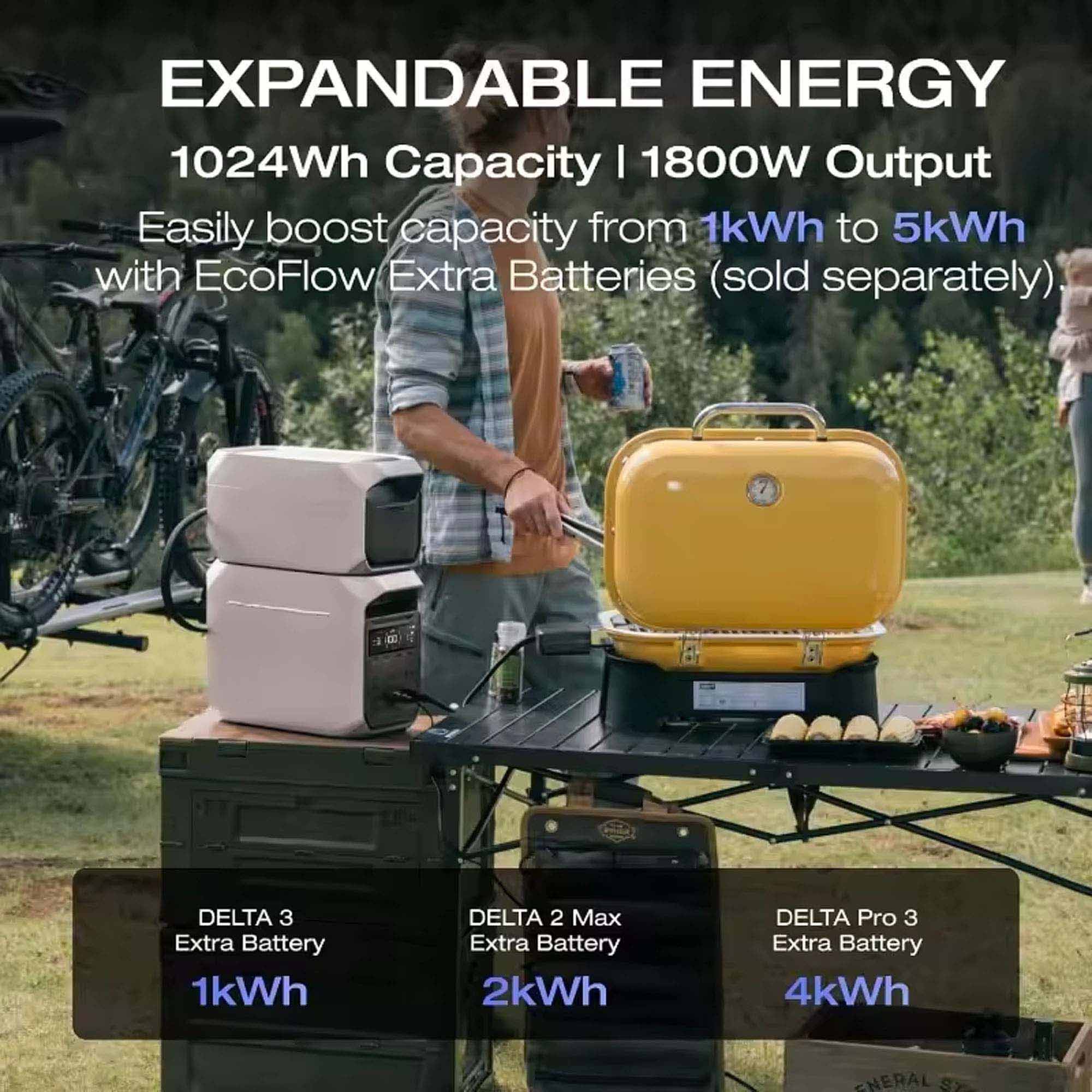 DELTA 3 Plus Portable Power Station