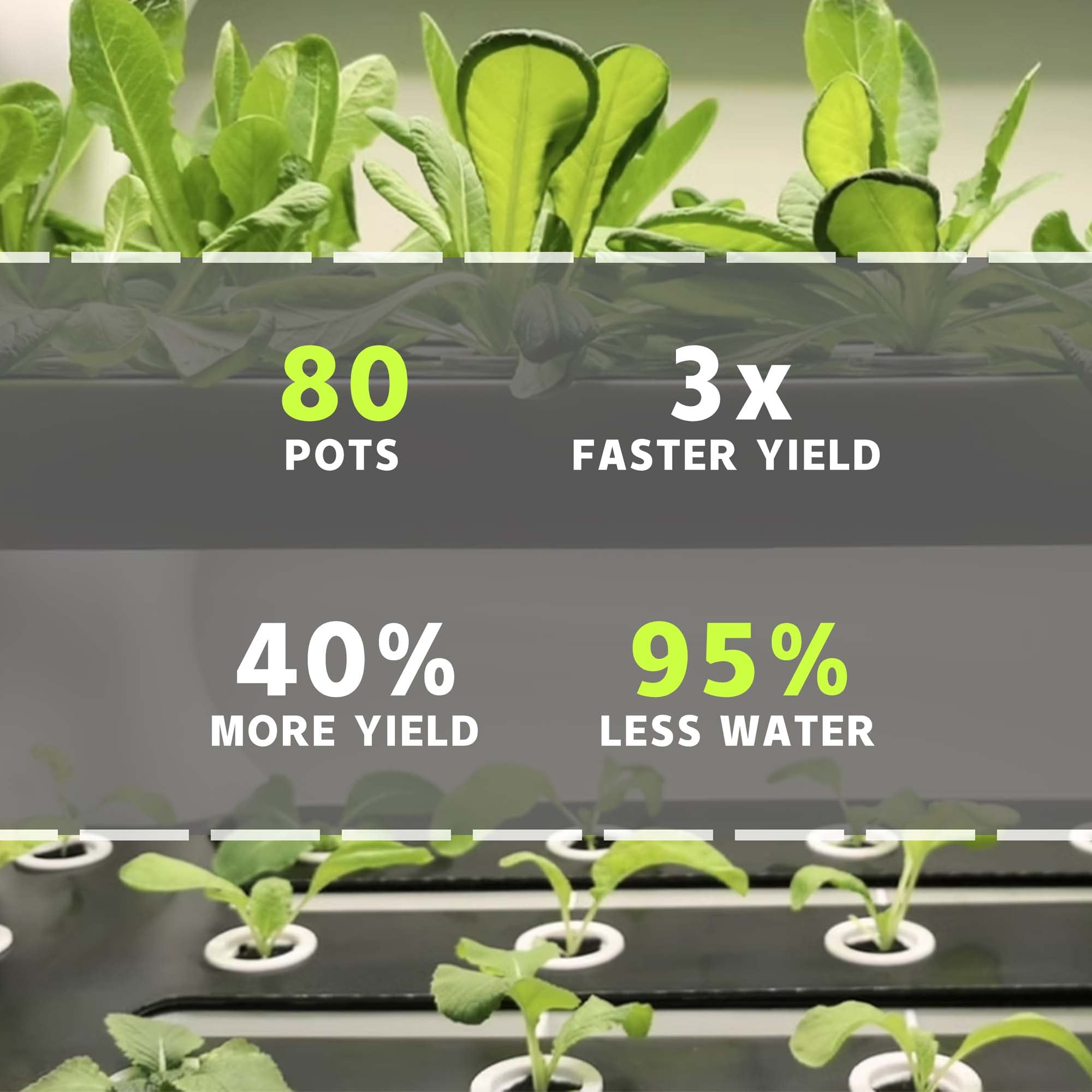 Hydroponic Grow Shelf Function