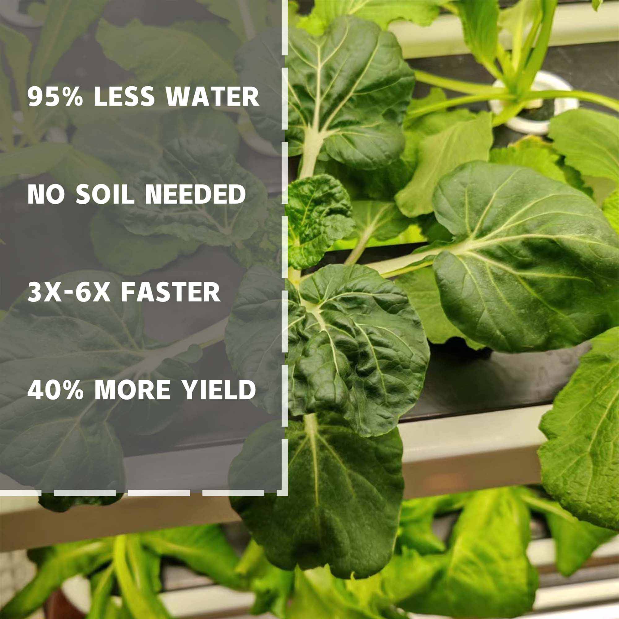 Hydroponic Grow Shelf Function