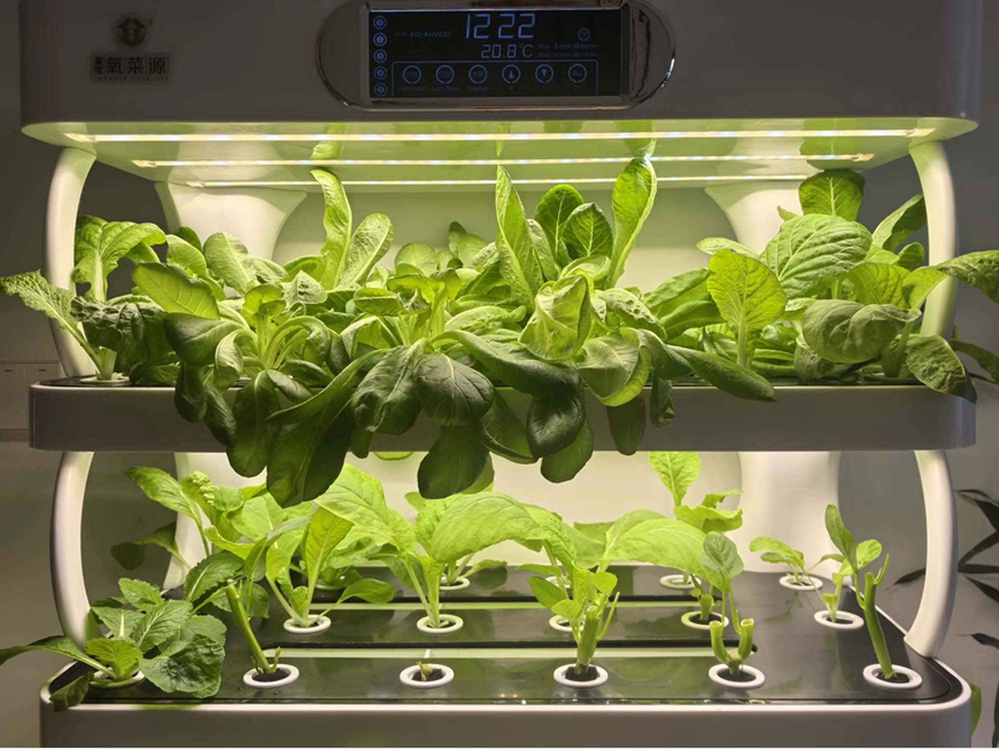 Hydroponic Grow Shelf