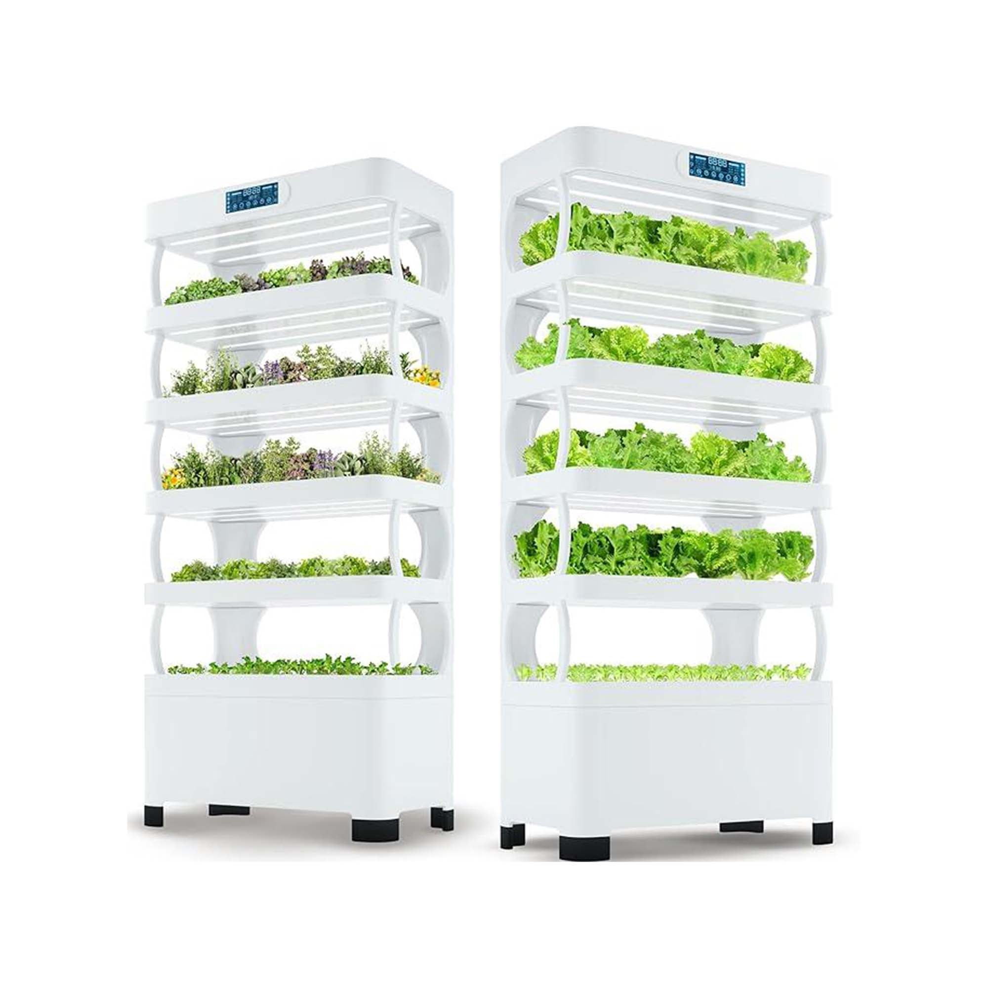 Hydroponic Grow Shelf