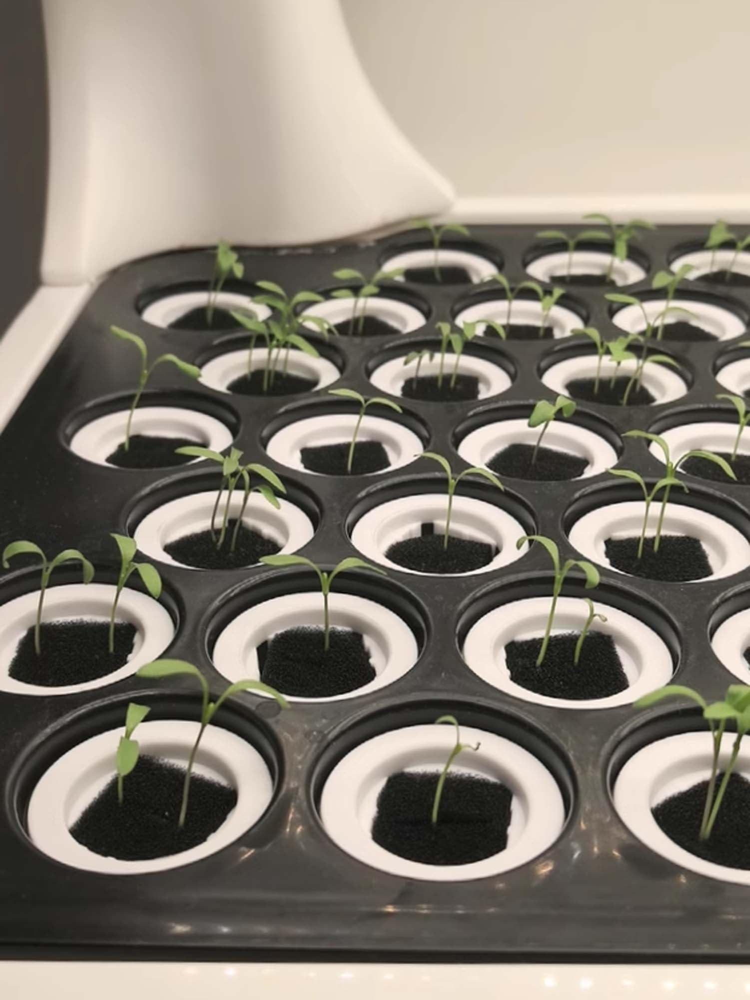 Hydroponic Grow Shelf Container