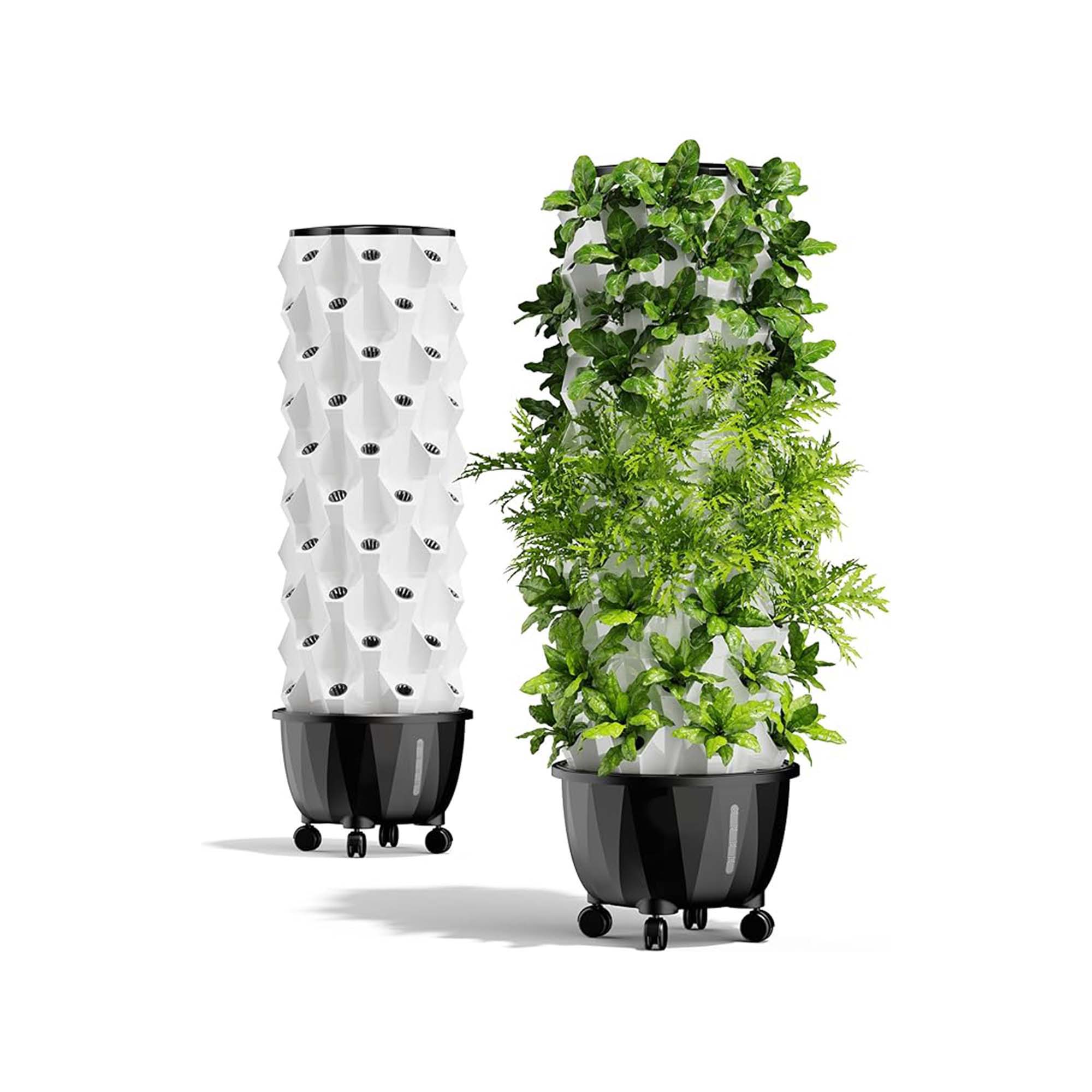 Hydroponic Grow Shelf