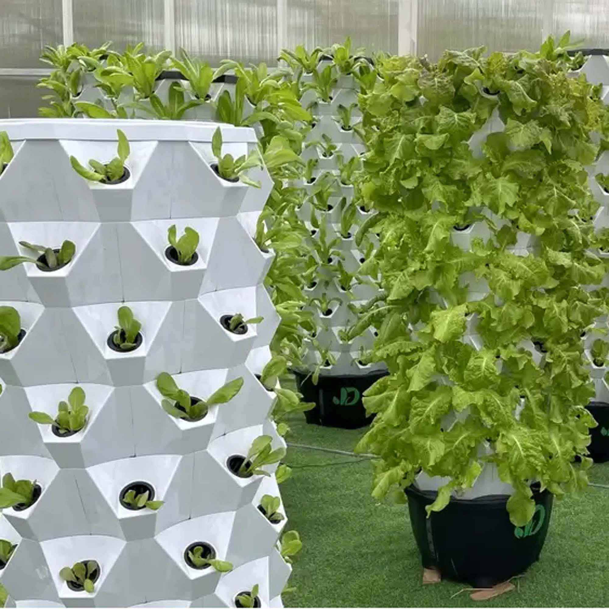 Hydroponic Grow Shelf