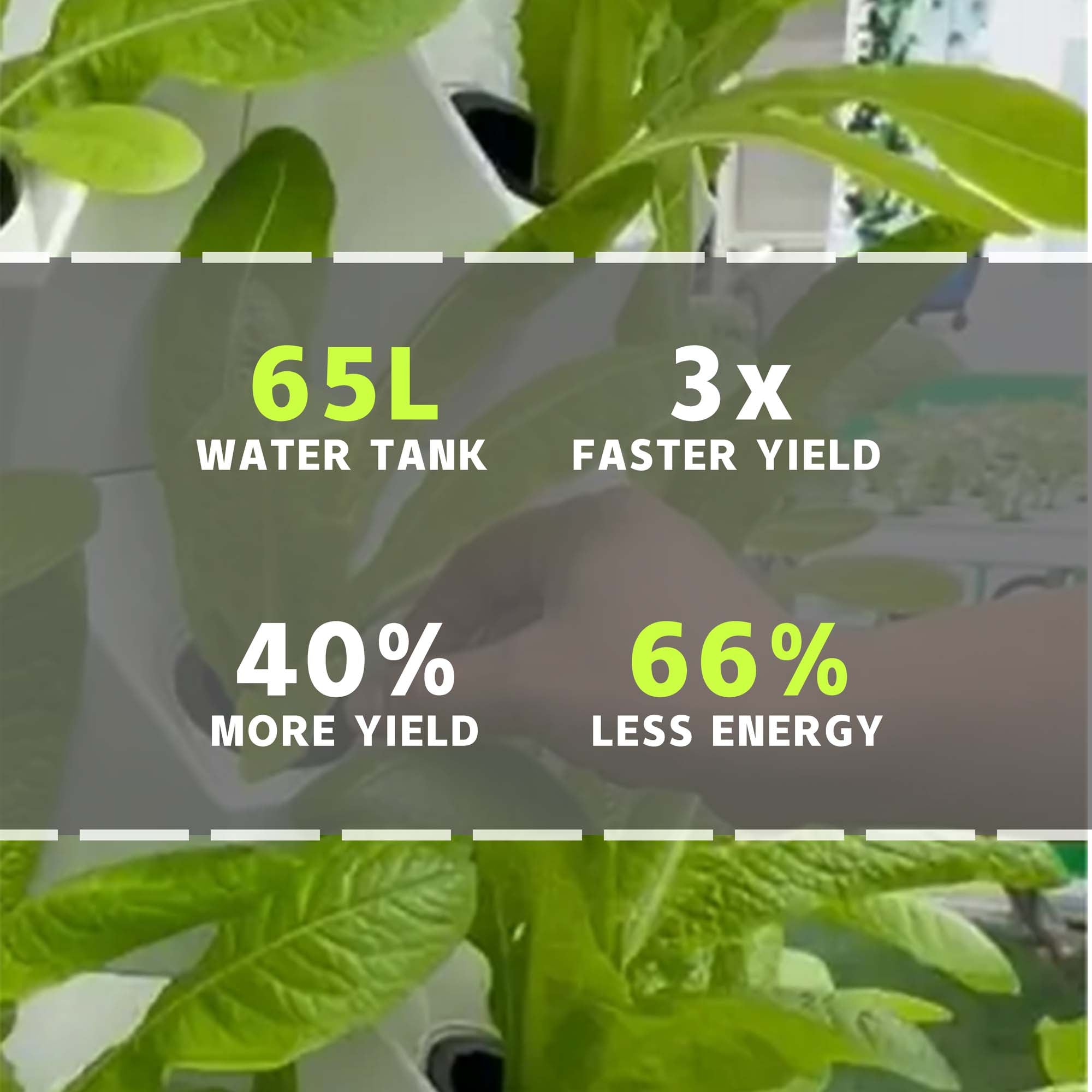 Hydroponic Grow Shelf Function