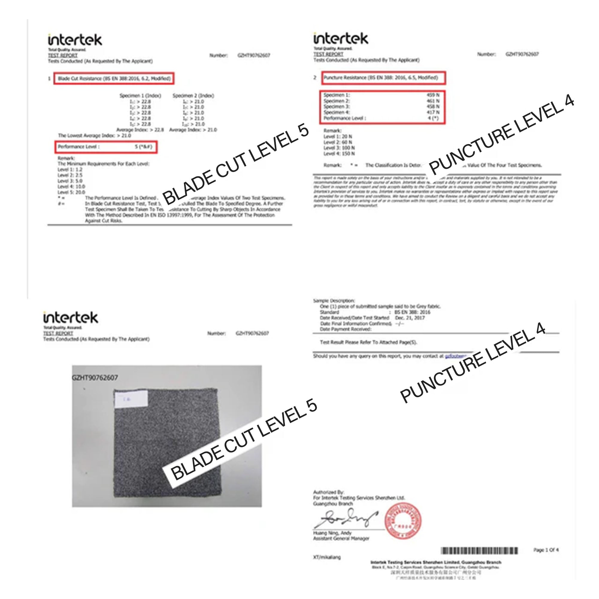 Slash Proof Certificate