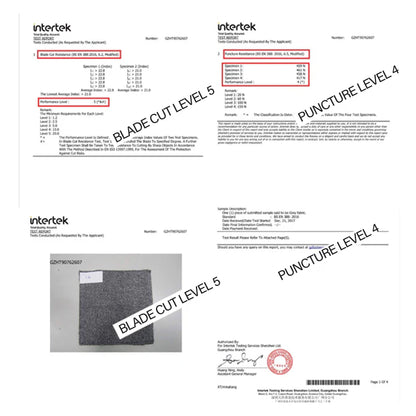 Slash Proof Certificate